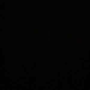 Meet your Posher, Ella